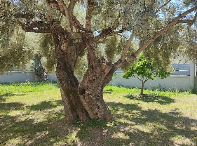 Alegria Boutique Lygia (Lefkada)